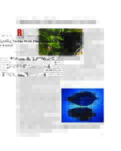 Fighting Moths With Pheromones Is Now Easier STEPHEN AUSMUS (D849-1) R  ather than place