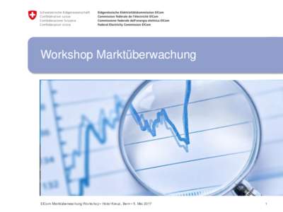 Workshop Marktüberwachung  ElCom Marktüberwachung Workshop • Hotel Kreuz, Bern • 5. Mai