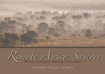 Remote A frica Safaris Tafiika, Chikoko Trails, Mwaleshi Luangwa Valley, Zambia