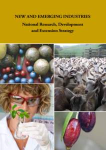 NEW AND EMERGING INDUSTRIES National Research, Development and Extension Strategy NEW AND EMERGING INDUSTRIES National Research, Development and
