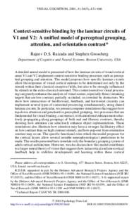 VISUAL COGNITION, 2001, ), 431–466  Context-sensitive binding by the laminar circuits of V1 and V2: A unified model of perceptual grouping, attention, and orientation contrast* Rajeev D.S. Raizada and Stephen G