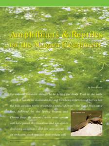 Amphibians & Reptiles on the Niagara Escarpment By Fiona Wagner  For anyone fortunate enough to be hiking the Bruce Trail in the early