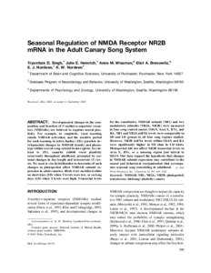 Seasonal Regulation of NMDA Receptor NR2B mRNA in the Adult Canary Song System Tryambak D. Singh,1 Julie E. Heinrich,1 Anne M. Wissman,2 Eliot A. Brenowitz,3 E. J. Nordeen,1 K. W. Nordeen1 1