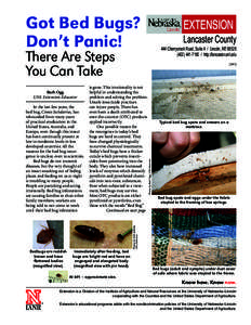 Got Bed Bugs? Don’t Panic! Lancaster County  444 Cherrycreek Road, Suite A / Lincoln, NE 68528