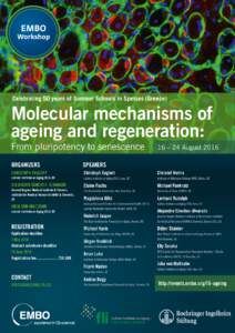 Celebrating 50 years of Summer Schools in Spetses (Greece)  Molecular mechanisms of ageing and regeneration:  From pluripotency to senescence