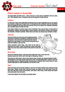 Cane toad  Fact sheet Unit 3 factsheet