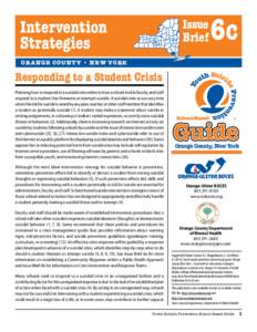 Intervention Strategies Issue Brief