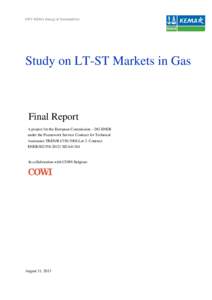 DNV KEMA Energy & Sustainability  Study on LT-ST Markets in Gas Final Report A project for the European Commission – DG ENER