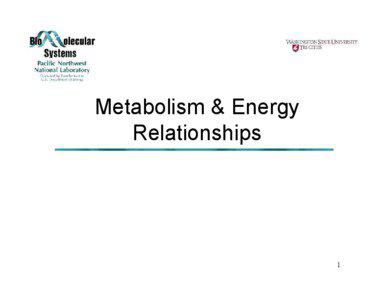 Metabolism and Energy Relationships