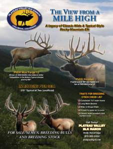 The View from a  MILE HIGH A legacy of Classic Wide & Typical Style Rocky Mountain Elk