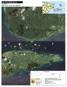 U.S. Fish & Wildlife Service  Vieques National Wildlife Refuge  Cule bra