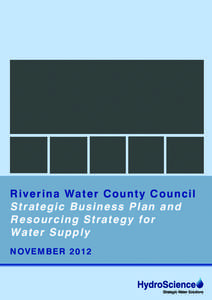 A428 RWCC Strategic Business Plan