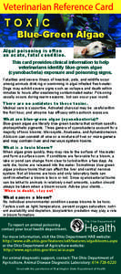 Veterinarian Reference Card  TOXIC Blue-Green Algae Algal poisoning is often an acute, fatal condition.