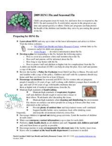 Microsoft Word - Flu_fact_Sheet_09_rev