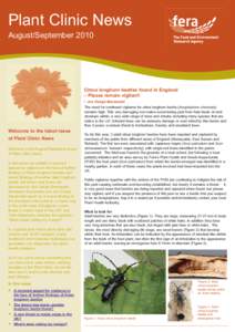 Plant Clinic News August/September 2010 Citrus longhorn beetles found in England – Please remain vigilant! - Joe Ostojá-Starzewski