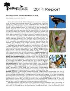 2014 Report San Diego Botanic Garden—Bird Report for 2014 Submitted by Susan Smith, Dec 2014 During 2014, a total of 100 different bird species was seen over the year in the San Diego Botanic Garden (SDBG). This is a h