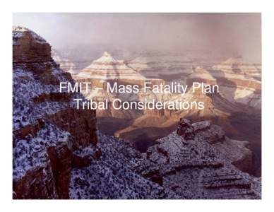 Microsoft PowerPoint - FMIT – Mass Fatality Plan-test.ppt
