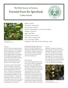 The Herb Society of America  Essential Facts for Spicebush Lindera benzoin  Family: Lauraceae
