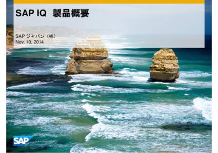 SAP IQ SAP Nov. 10, 2014 SAP SAP