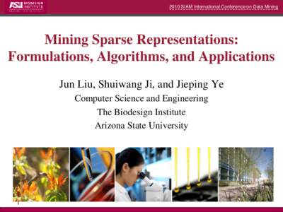 2010 SIAM International Conference on Data Mining  Mining Sparse Representations: