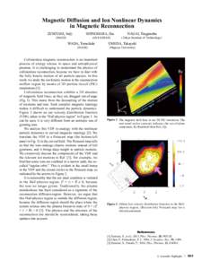 Magnetic Diffusion and Ion Nonlinear Dynamics in Magnetic Reconnection ZENITANI, Seiji