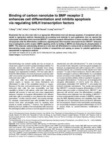 Binding of carbon nanotube to BMP receptor 2 enhances cell differentiation and inhibits apoptosis via regulating bHLH transcription factors