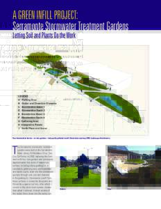 A GREEN INFILL PROJECT: Serramonte Stormwater Treatment Gardens Letting Soil and Plants Do the Work Four bioretention basins—or rain gardens—help purify polluted runoff. Illustration courtesy CMG Landscape Architectu