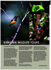 24  Green Python Kirrama Tours specialises in finding that elusive bird for