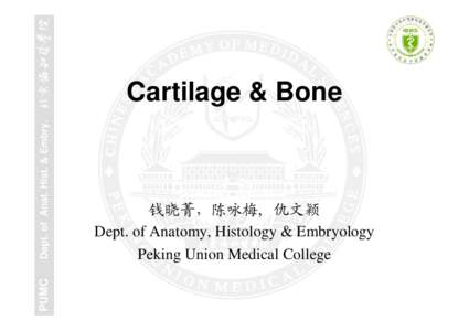 PUMC  Dept. of Anat. Hist. & Embry. Cartilage & Bone