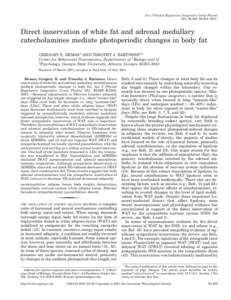 Am J Physiol Regulatory Integrative Comp Physiol 281: R1499–R1505, 2001. Direct innervation of white fat and adrenal medullary catecholamines mediate photoperiodic changes in body fat GREGORY E. DEMAS1 AND TIMOTHY J. B