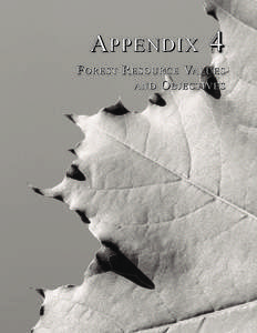 Appendix - Forest Resources Values and Objectives
