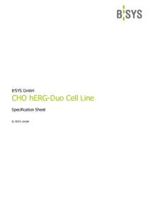 B’SYS GmbH  CHO hERG-Duo Cell Line Specification Sheet © B’SYS GmbH