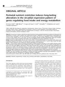 Perinatal nutrient restriction induces long-lasting alterations in the circadian expression pattern of genes regulating food intake and energy metabolism