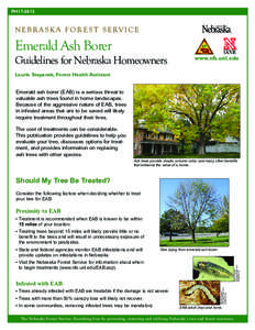 FH17[removed]N E B R A S K A F O R E S T S E RV I C E Emerald Ash Borer Guidelines for Nebraska Homeowners