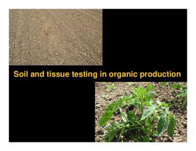 Soil and tissue testing in organic production  Soil testing : Understanding the soil test report is half the battle …  .pdf available at http://vric.ucdavis.edu