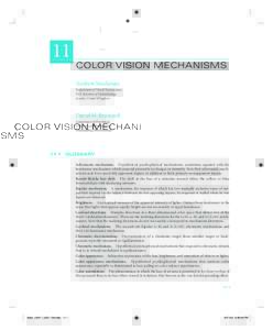 Color / Perception / Vision / Light / Image processing / Visual perception / Color vision / Unique hues / Opponent process / Chromatic adaptation / Cone cell / Hue