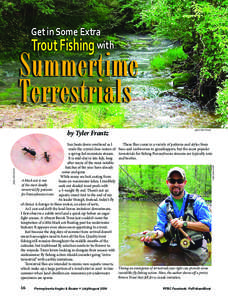 Get in Some Extra Trout Fishing with Summertime Terrestrials photo-Tyler Frantz