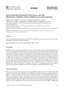 Review of the Palaearctic species of Macromyrme Lelej[removed]Hymenoptera: Mutillidae) with description of a new species from Egypt