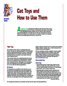 BEHAVIOR SERIES Cat Toys and How to Use Them