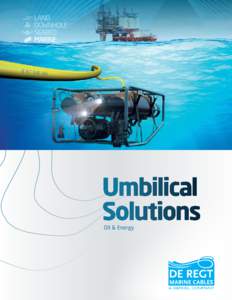 Oil & Energy  Umbilical solutions Oil & Energy  DE REGT Marine Cables leads the field in providing engineered umbilical solutions to satisfy a range of oil, gas and renewable
