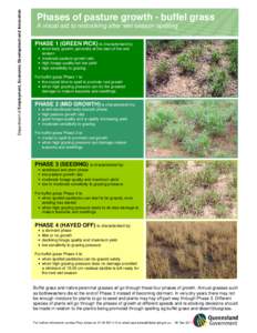 Department of Employment, Economic Development and Innovation  Phases of pasture growth - buffel grass A visual aid to restocking after wet season spelling PHASE 1 (GREEN PICK) is characterised by: • short leafy growth