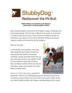 Media Matters for Shelters and Rescues Lesson One: Creating Adopt-a-Bulls Many potential adopters are burdened with negative images, stereotypes and myths about pit bulls. This can make it difficult for the public to see