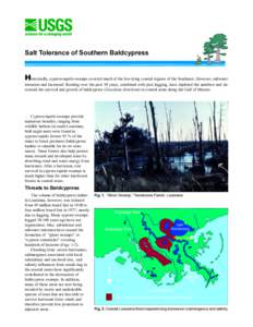 Salt Tolerance of Southern Baldcypress  Historically, cypress-tupelo swamps covered much of the low-lying coastal regions of the Southeast. However, saltwater intrusion and increased flooding over the past 30 years, comb