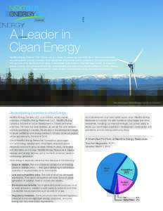 A Leader in Clean Energy NextEra Energy Canada, ULC stands out as a leader in producing electricity from clean and renewable resources and is among Canada’s most disciplined competitive power generators. Our company de