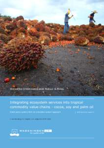 Wettelijke Onderzoekstaken Natuur & Milieu	  Integrating ecosystem services into tropical commodity value chains - cocoa, soy and palm oil Dutch policy options from an innovation system approach