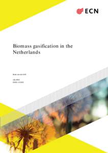 Biomass gasification in the Netherlands Bram van der drift July 2013 ECN-E