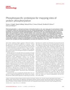 ARTICLES  Phosphospecific proteolysis for mapping sites of protein phosphorylation Zachary A Knight1, Birgit Schilling2, Richard H Row2, Denise M Kenski1, Bradford W Gibson2,3 & Kevan M Shokat4,5