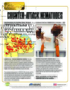COUNTER-ATTACK NEMATODES Stop Nematodes for Healthier Roots, Stronger Stands and Higher Yields with the Proven Power of COUNTER® 20G Insecticide/Nematicide.  Rootworm Trait Corn: COUNTER 20G vs. Untreated — 2012