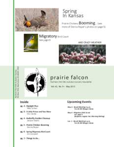Spring In Kansas Booming Prairie Chickens ... (see