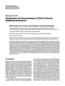 Identification and Characterization of TEX101 in Bovine Epididymal Spermatozoa
